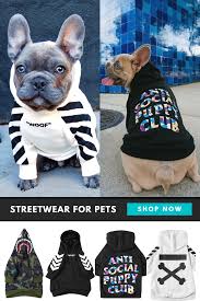 Use the following search parameters to narrow your results Anti Social Dog Hoodie Dog Sweaters Dog Hoodie Cute Dogs