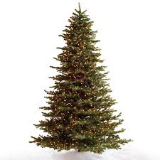 We did not find results for: Noble Fir Christmas Tree Frontgate