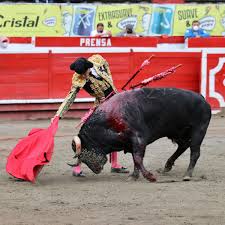 Manizales (Colombia), lunes 11 de enero de 2020. Toros de Ernesto  Gutiérrez, Santa Bárbara y Juan Bernardo Caicedo para José Arcila, Juan de  Castilla y Sebastián Hernández - Aplausos.es