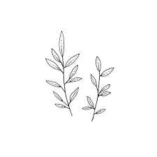 Botanical line drawing botanical drawings botanical illustration plant painting plant drawing flower step by step step by step drawing doodle inspiration bullet journal inspiration. Minimalist Easy One Line Drawing Novocom Top