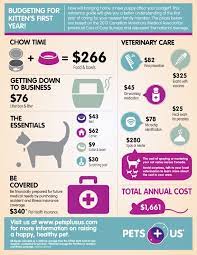 Cost Of Pet Care Kitten Care Getting A Kitten Cat Care