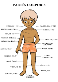Pin On Latin 4ºeso