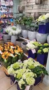 Bretts news & blooms achill sound, illanbelfarsad, achill, co. Flowers4u Home Facebook