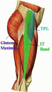 It Band Dynamicstretching In 2020 Hip Flexor It Band Dynamic Stretching