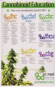 Review Sol Cbd Oil Review How You Can Benefit From This Cbd Oil Weed Education Cannabis Medical Cannabis