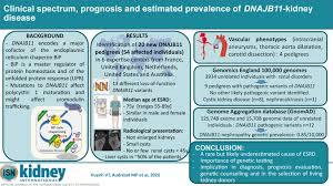 Clinical Spectrum Prognosis And Estimated Prevalence Of Dnajb11 Kidney Disease Kidney International