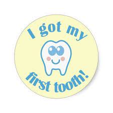 I Got My First Tooth Classic Round Sticker Zazzle Com In 2022 First Tooth Tooth Clipart Stickers Custom