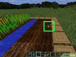 Dig up the land and pour a water bucket into the opening. Karotten Bekommen In Minecraft 14 Schritte Mit Bildern Wikihow