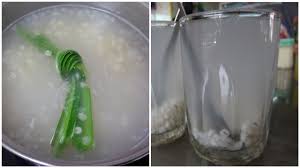 Salah satu cara untuk menyeimbangkan berat badan yaitu dengan cara diet. Boleh Banyakkan Susu Badan Ini 6 Khasiat Barli Untuk Ibu Mengandung Menyusu
