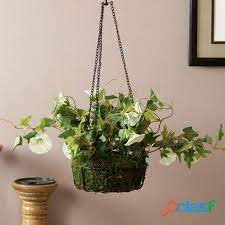 Here is a table that shows some of the products with their prices: Heavy Discounts Shop Home Decor Items Online In Hyderabad Starting At Just Rs 359 In Hyderabad Clasf Home And Garden