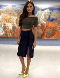 Ito ay matapos masamain ng fan ang komento ni pia, 30, tungkol sa pagtulong ni heart, 35, sa mga apektado ng. Miss Universe 2015 Pia Alonzo Wurtzbach Beauty Pageant Pageant Pia Wurtzbach