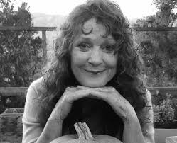 Meet the Board of Directors