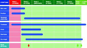 Care guide for acute rash. An Itchy Erythematous Papular Skin Rash As A Possible Early Sign Of Covid 19 A Case Report Journal Of Medical Case Reports Full Text