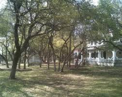 Maybe you would like to learn more about one of these? Tree Trimming Services Cedar Park Tx Round Rock Treesrus Llc