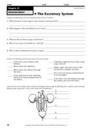 It helps you tickle, itch, and recoil! The Excretory System 8th 9th Grade Worksheet Excretory System Science Worksheets Urinary System Activities