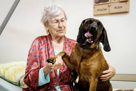 Image result for bavorský barvář