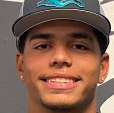Wilmer Henriquez's Baseball Recruiting Profile
