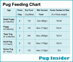 Pugs are food lovers and will do anything for you if you are feeding him in return. How To Feed My Pug What And Often Insider Puppies Puppy Growth Chart Dog Feeding