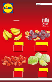 Bunătăți aduse de peste prut. Catalog Lidl Extra Oferte De Joi 14 20 Februarie 2019 Catalog Az