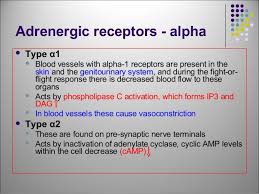 Difference Between Alpha 1 And Alpha 2 Paramedic Emt Rn Nurse Emergency Medical Techician Ems Emergency Medical Fight Or Flight Fire Medic
