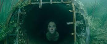 With kaya scodelario, barry pepper, morfydd clark, ross anderson. Crawl 2019 Ein Perfekter Titel Filmkritik Fluxkompensator