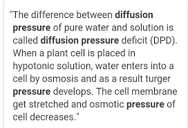 Define The Diffusion Pressure Brainly In