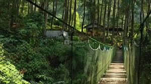 Maybe you would like to learn more about one of these? 80 Tempat Wisata Di Bogor Yang Populer Terbaru
