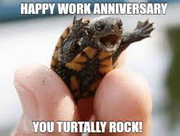 If you are expressing yourself with words on a card, keep work anniversary wishes expressive and short. Happy Work Anniversary Meme To Make Them Laugh Madly