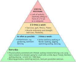 Where on the physical activity pyramid do lifestyle activities belong: Wellness Movement Activity And Physical Activity Florida Wellness Health Academy