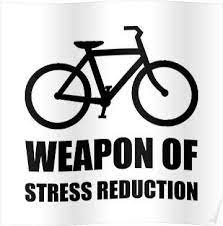 pin von franca schmidt auf bike bicycle life fahrrad zitate fahrrad spruch fahrrad poster