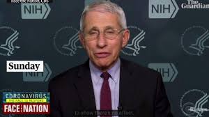 Anthony fauci's extensive legacy of fraud and coverups throughout his lengthy medical career in the federal government. Pakar Penyakit Menular As Dr Anthony Fauci Peringatkan Lonjakan Covid 19 Pasca Liburan Thanksgiving Tribunnews Com Mobile