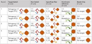 Image result for stringencies