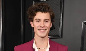 23:32 edt, 21 june 2021. Shawn Mendes Reveals His Go To Styling Cream For His Long Luscious Locks Daily Mail Online