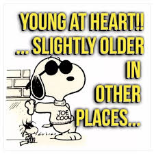 Pin By Patti Geise On Funny Snoopy Quotes Happy Birthday Funny Best Friend Quotes