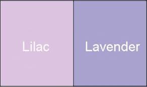 Color Options 3 And 4 Purple Colour Shades Purple Paint Colors Lavender Room