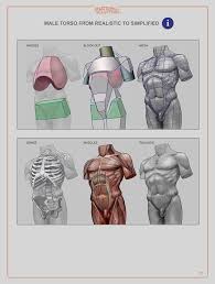 Anatomy For Sculptors Understanding The Human Figure Pdf E Book In 2020 Human Anatomy For Artists Anatomy For Artists Human Figure