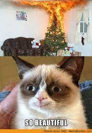 Grumpy Cat Funny Humor Christmas Burning Tree Funny Grumpy Cat Memes Grumpy Cat Christmas Grumpy Cat Humor