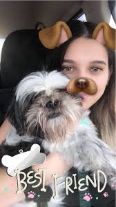 Missing Black and White Dog in Ashley Place Area