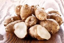 The tuberous roots of a close relative of the sunflower; Heirloom Jerusalem Artichoke Varieties Mother Earth News