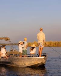 Image result for Vepris zambesiaca