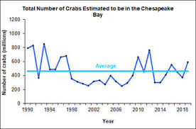 Chesapeake Bay Crab Population Highest Since 2012