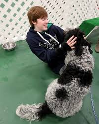 Maybe you would like to learn more about one of these? South Shore S First Indoor Dog Park To Open Next Week News The Patriot Ledger Quincy Ma Quincy Ma