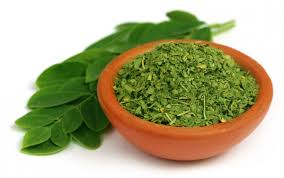 Image result for Moringa