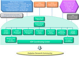 File New Org Chart V6 Gif Wikimedia Commons