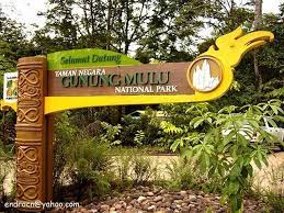 Semoga membantu anda mencari destinasi taman negara di malaysia yang menjanjikan aktviti hutan menarik berserta dengan beberapa cadangan penginapan yang berdekatan. Taman Negara Mulu