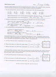 Spongebob genotype worksheet answers in an understanding medium can be utilized to try students capabilities and knowledge by addressing questions. Prime Naredimo To So Bikini Bottom Genetics Lancenewland Com