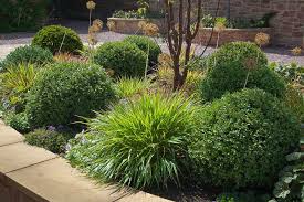 Carlisle Garden Garden Design Cumbria Buzy Lizzie Garden Design Penrith Cumbria Portfolio