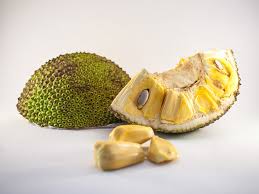 We did not find results for: Are Jackfruit Seeds Poisonous Benefits Concerns And Uses