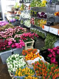 Maybe you would like to learn more about one of these? 28th Street Flower Market Nyc Jane Guerin Flowers