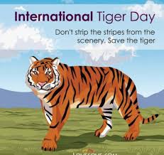 Global tiger day, often called international tiger day, is an annual celebration to raise awareness for tiger conservation, held annually on 29 july. Facebook